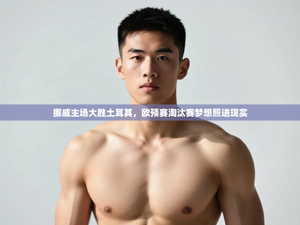 开云体育直播平台-挪威主场大胜土耳其,欧预赛淘汰赛梦想照进现实  第3张