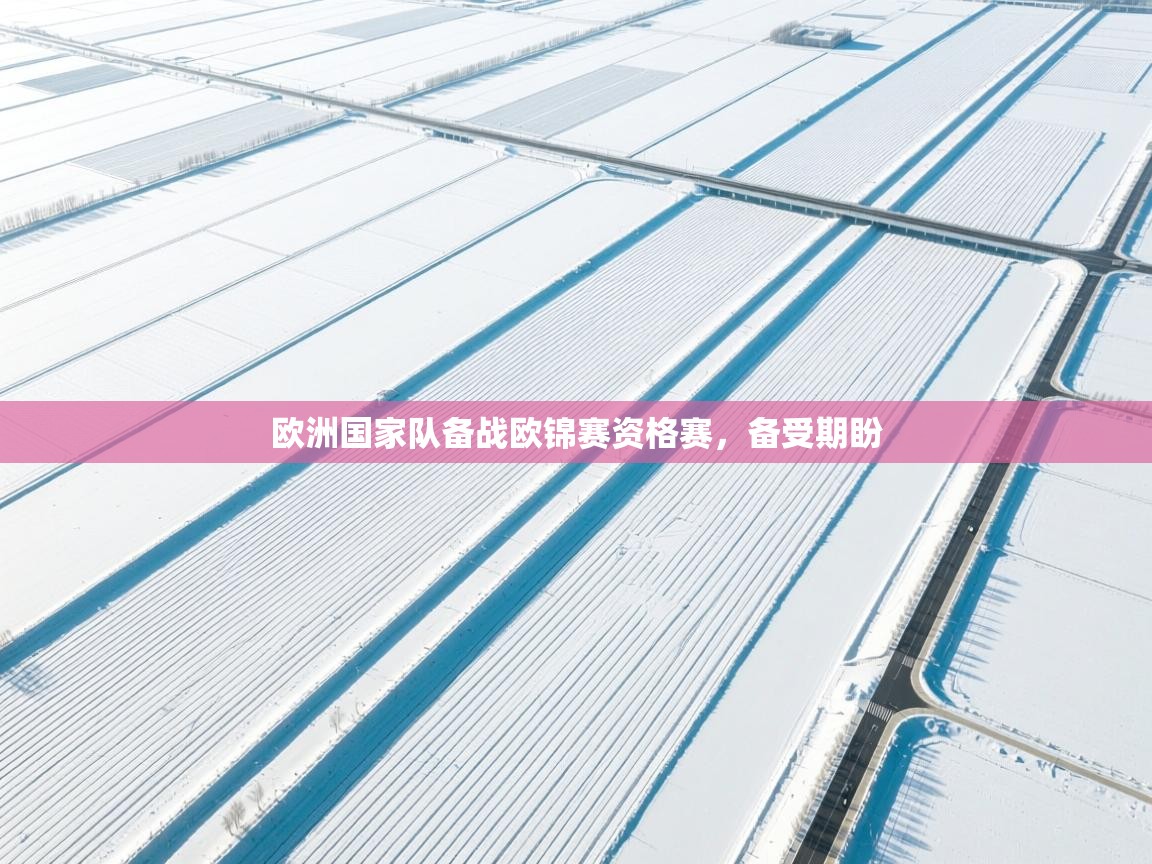 开云kaiyun体育app入口下载官网-欧洲国家队备战欧锦赛资格赛，备受期盼  第3张