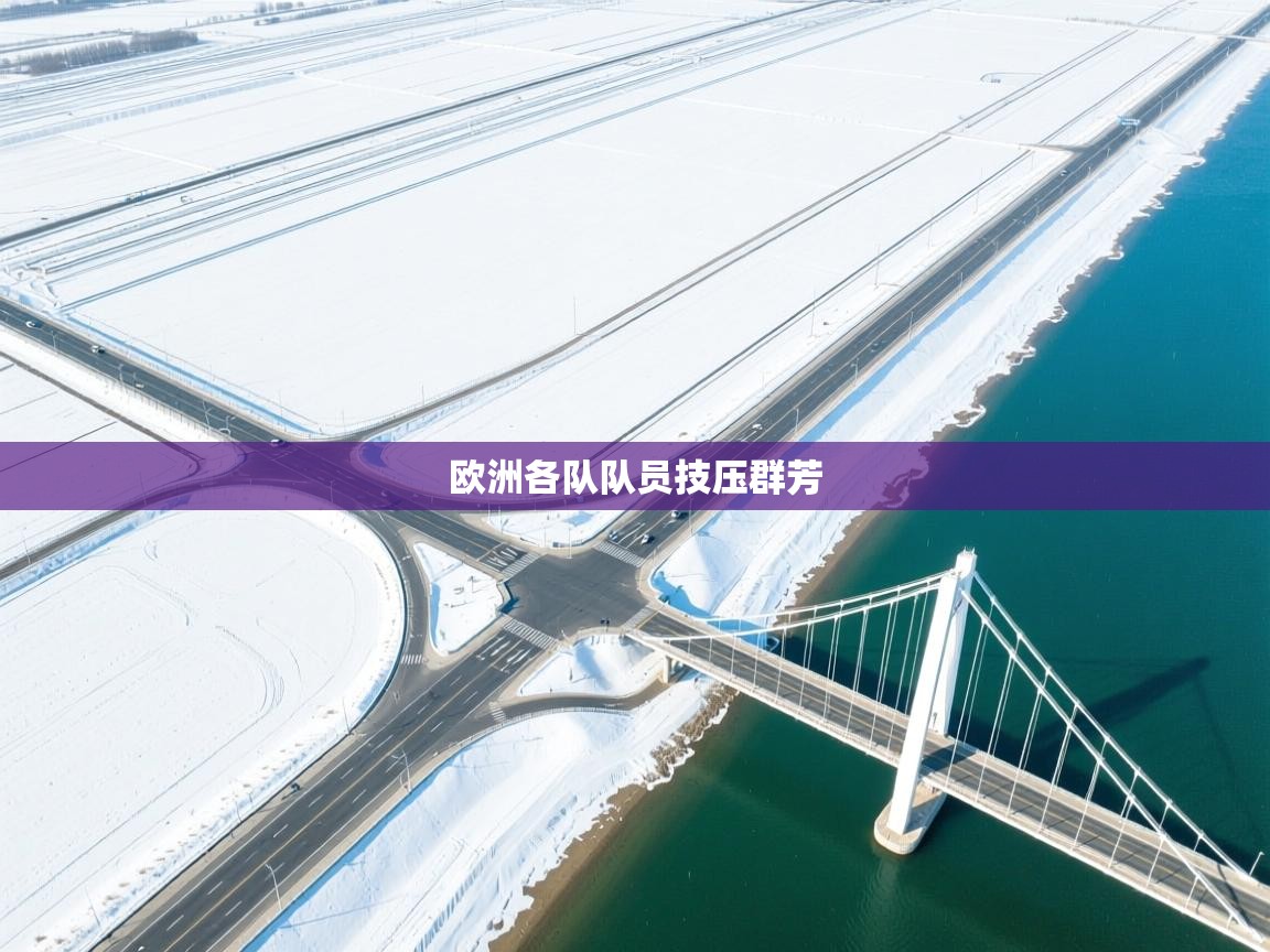 kaiyun sports-欧洲各队队员技压群芳  第4张