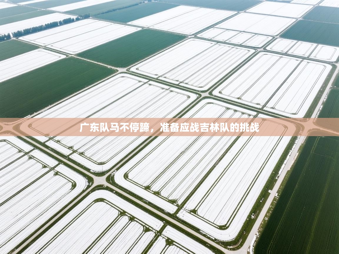 开云体育英文版入口-广东队马不停蹄，准备应战吉林队的挑战  第1张