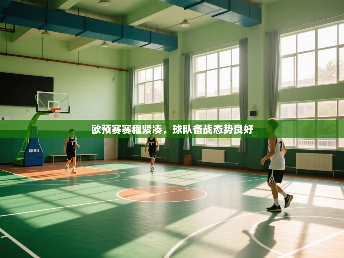 开云体育英文版入口-欧预赛赛程紧凑,球队备战态势良好 第1张