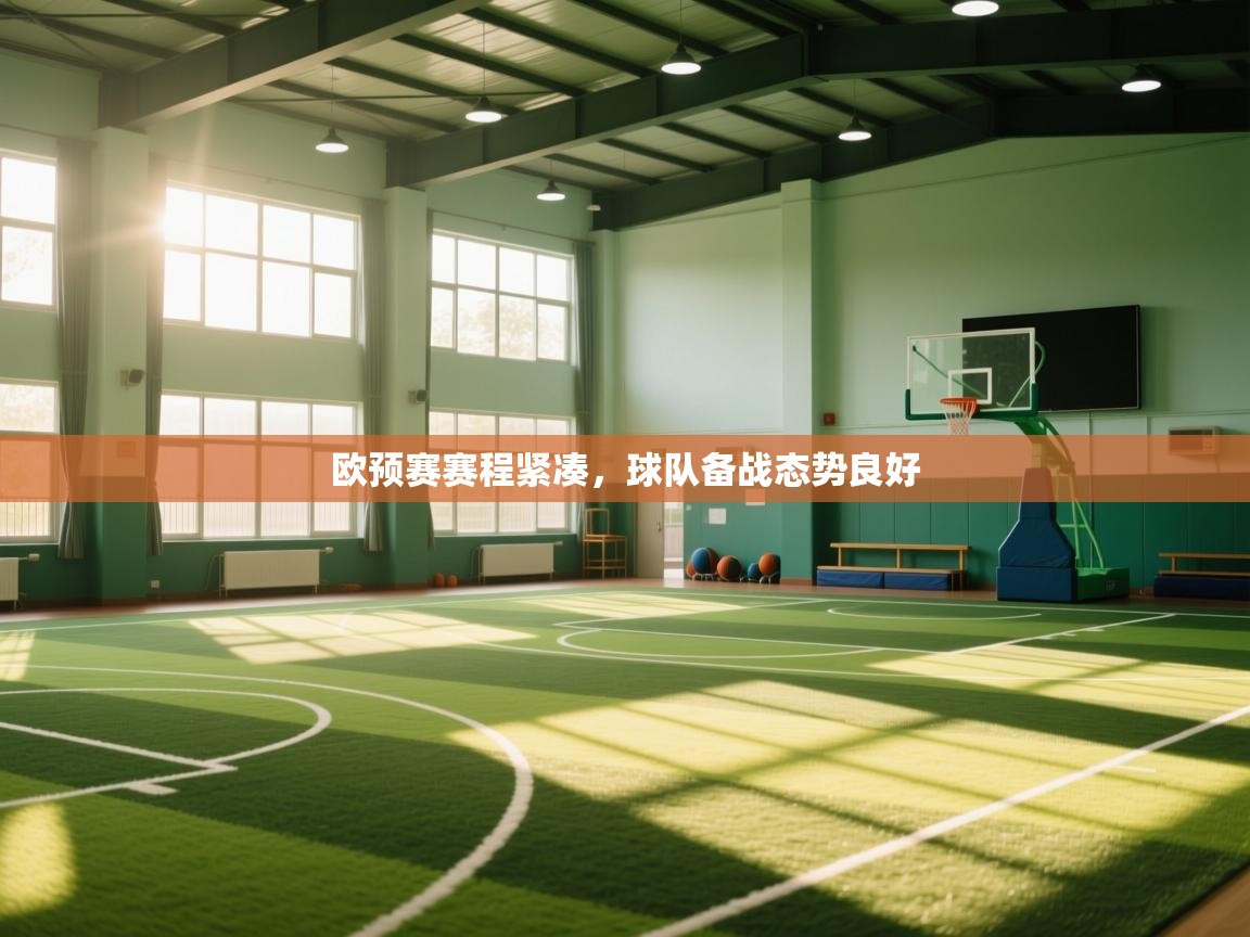 开云体育英文版入口-欧预赛赛程紧凑,球队备战态势良好 第2张