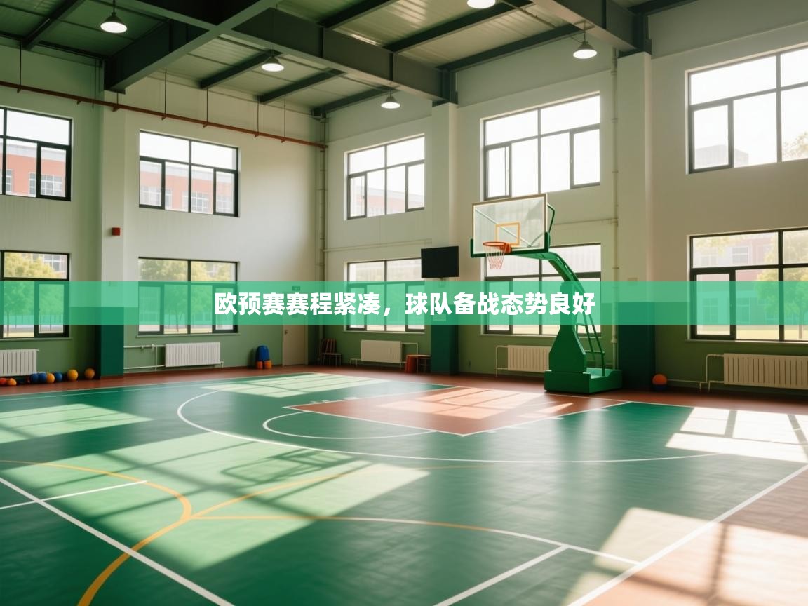 开云体育英文版入口-欧预赛赛程紧凑,球队备战态势良好 第3张