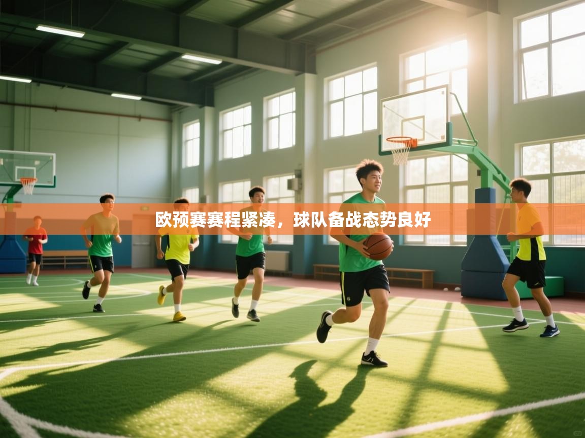 开云体育英文版入口-欧预赛赛程紧凑,球队备战态势良好 第4张