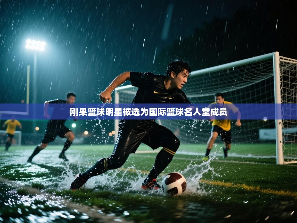 开云·体育kaiyun官方网站_kaiyun sports-刚果篮球明星被选为国际篮球名人堂成员 第2张