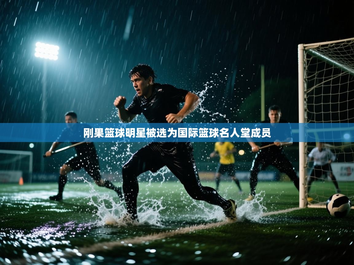 开云·体育kaiyun官方网站_kaiyun sports-刚果篮球明星被选为国际篮球名人堂成员 第3张