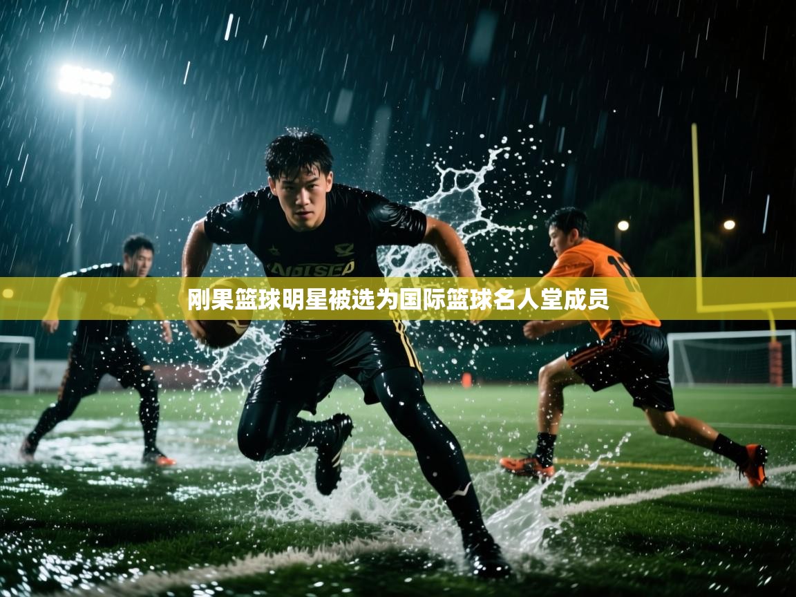 开云·体育kaiyun官方网站_kaiyun sports-刚果篮球明星被选为国际篮球名人堂成员 第4张